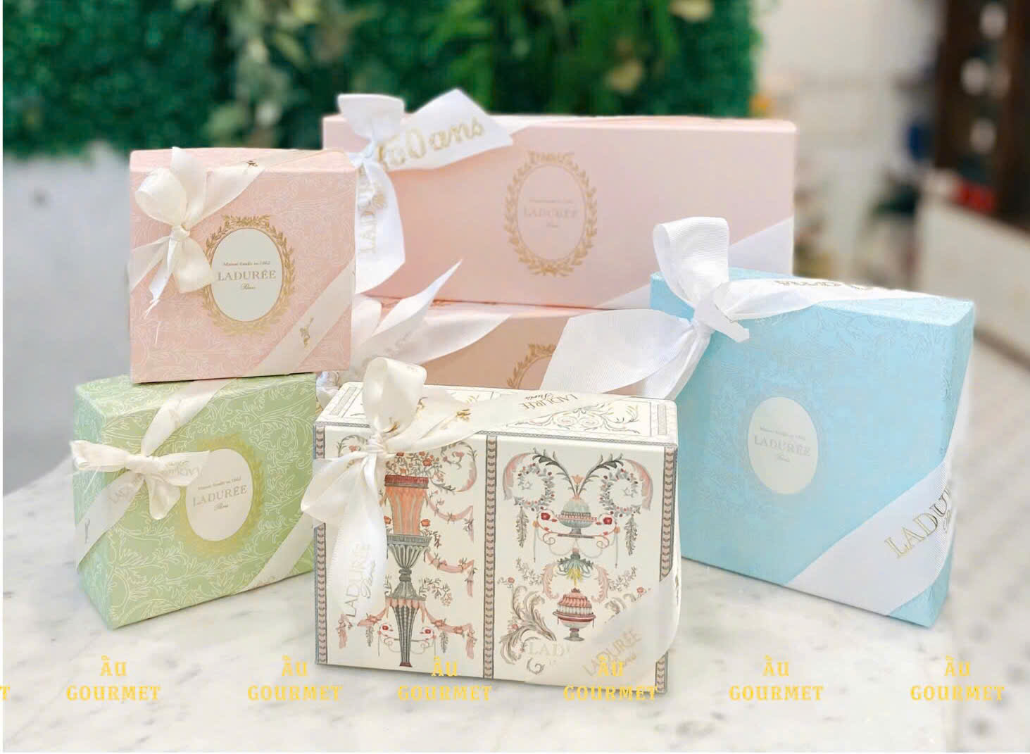Macaron Laduree biểu tượng giới tinh hoa