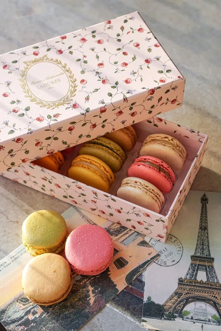 Bánh Macaron Pháp