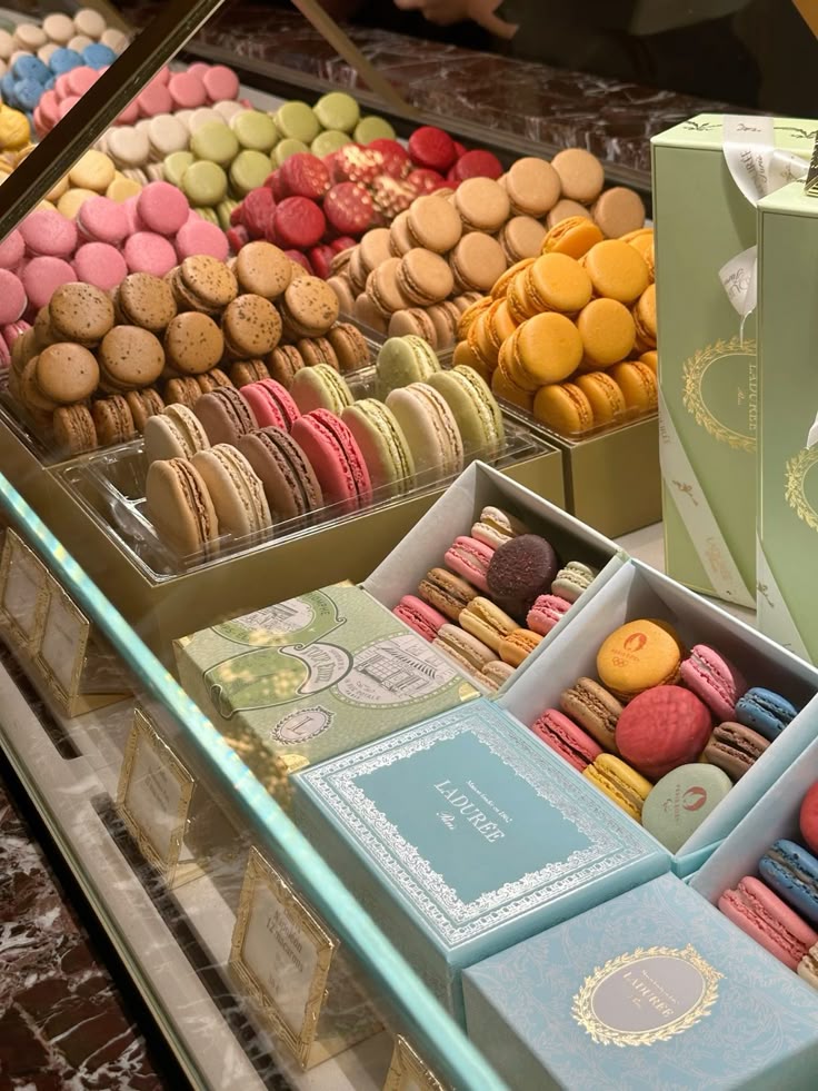 bánh macaron