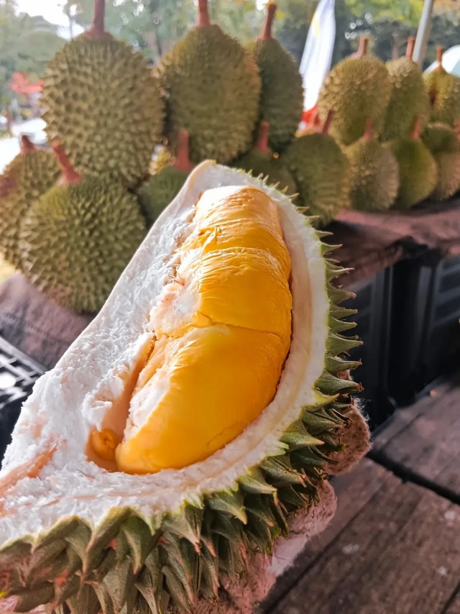 Bánh sầu riêng Musang King cao cấp