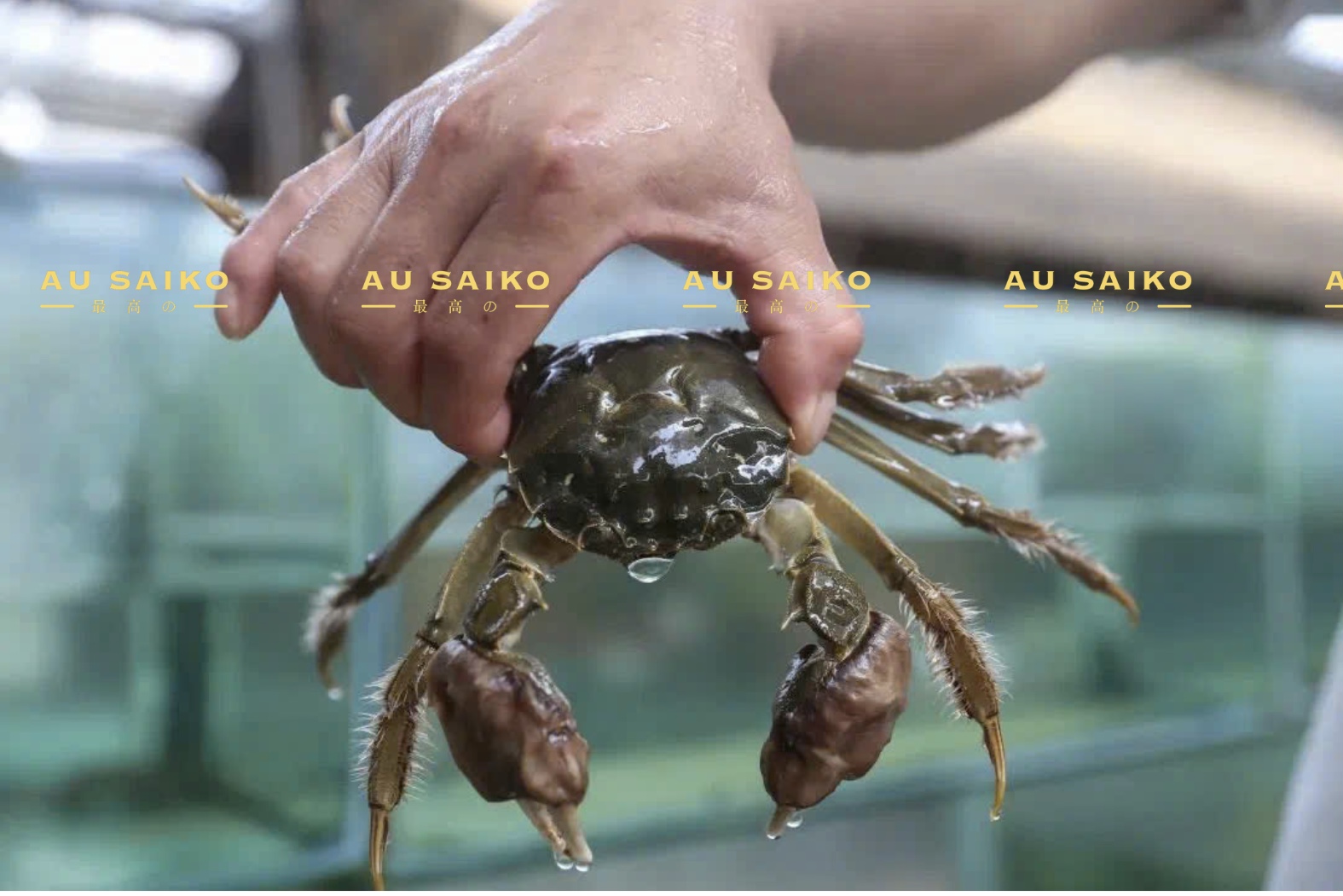 Cua lông hồ Dương Trừng thương hiệu đặc sản