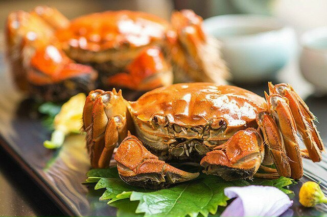 Cua lông Thương Hải hò Dương Trừng chính gốc