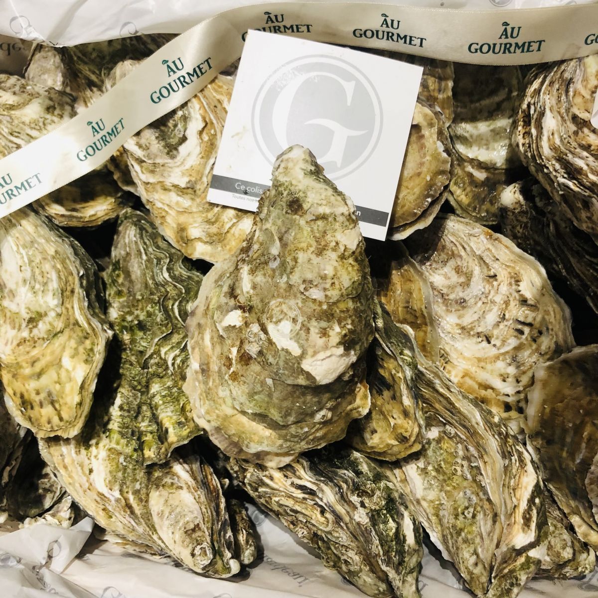 Hàu Gillardeau Au Gourmet phân phối độc quyền