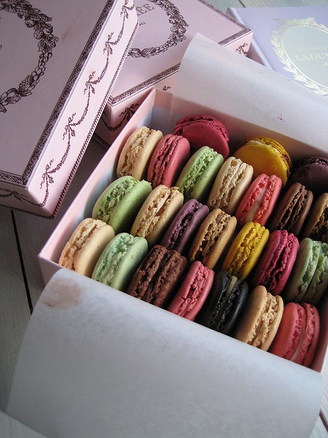 Hộp macaron đẹp laduree pierre herme