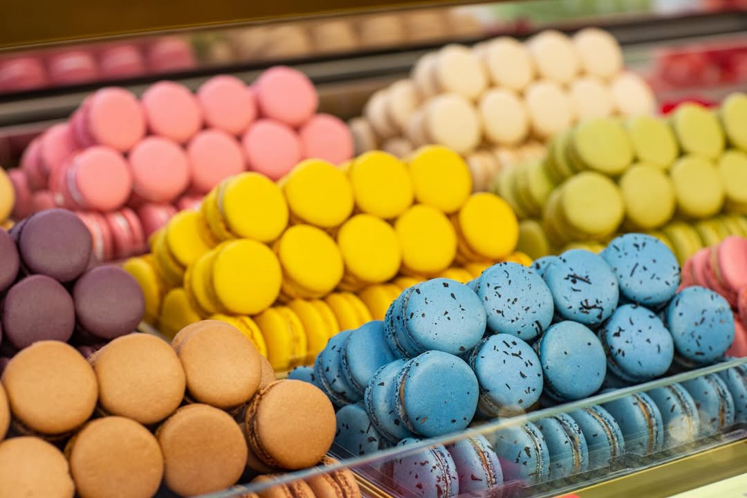 Macaron Pháp mua ở đâu