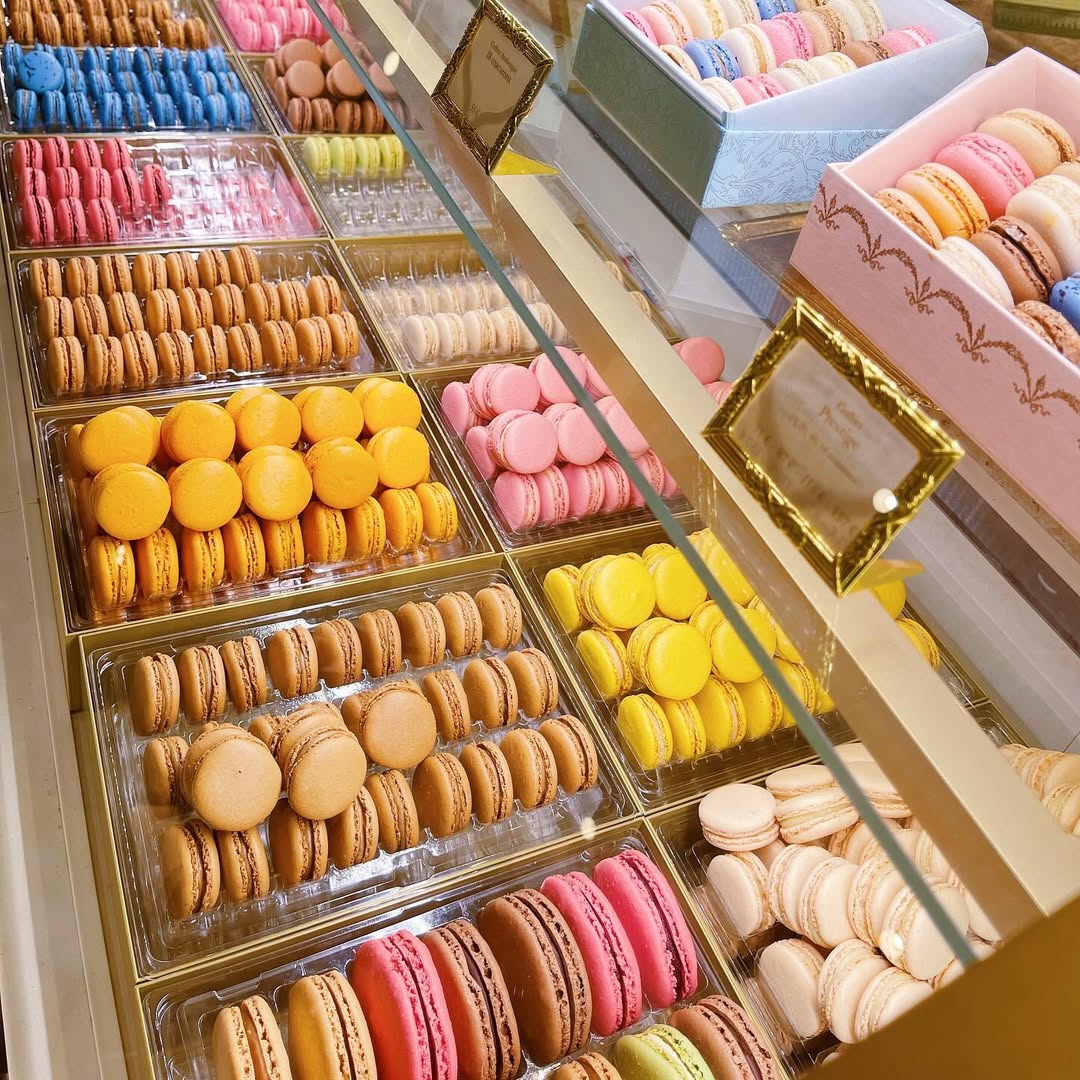Macaron Pháp nghệ thuật sống thanh lịch