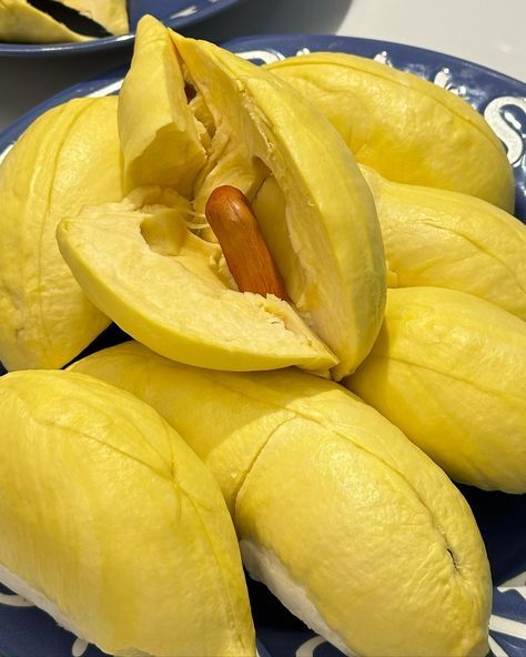 Mua sầu riêng Musang King Hà Nội tươi ngon