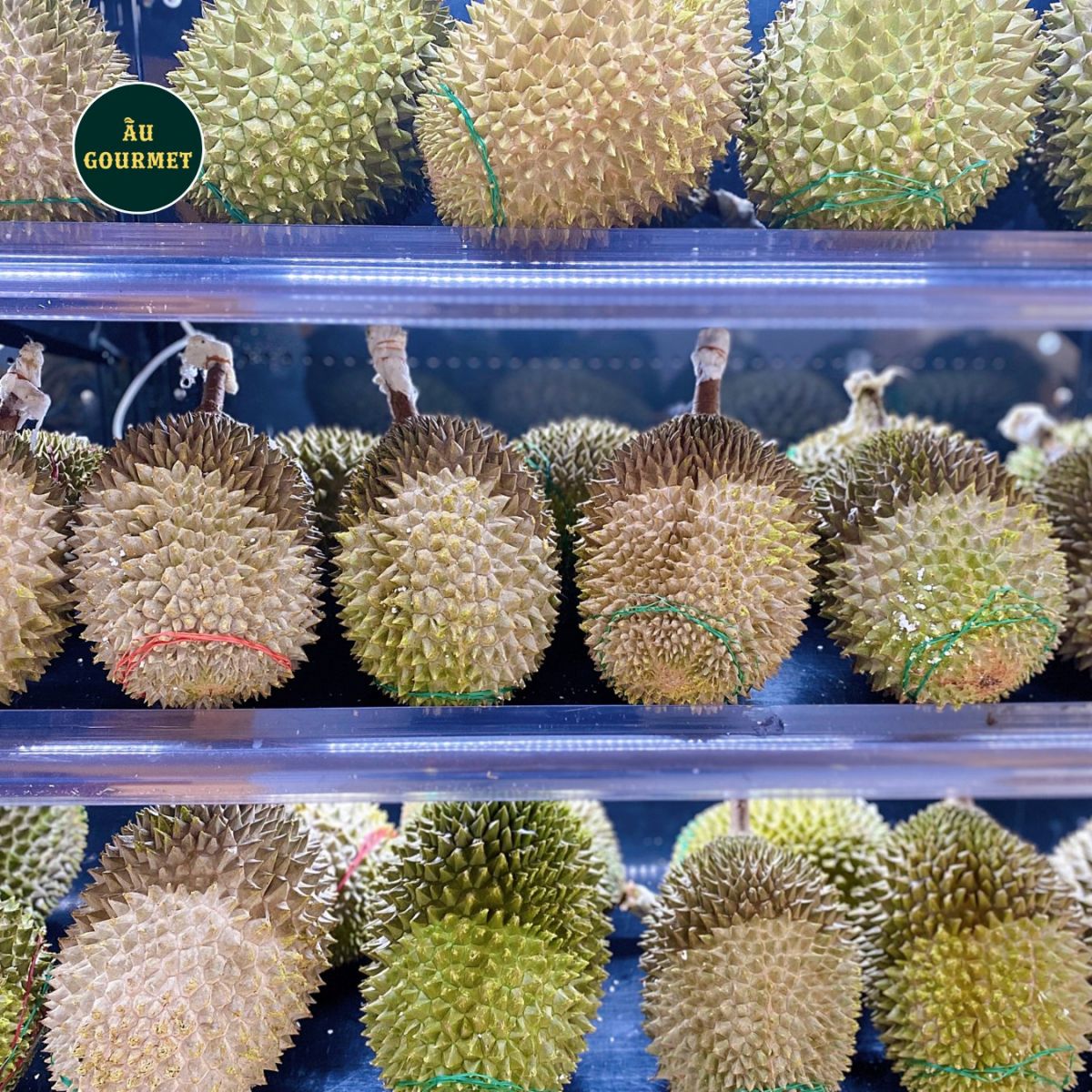 Sầu riêng Musang King