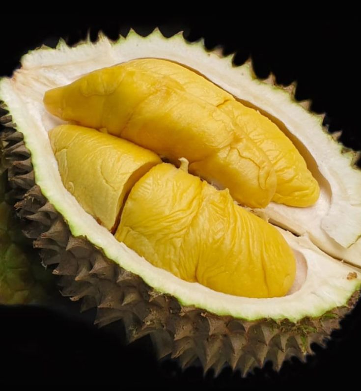 Sầu riêng Musang King