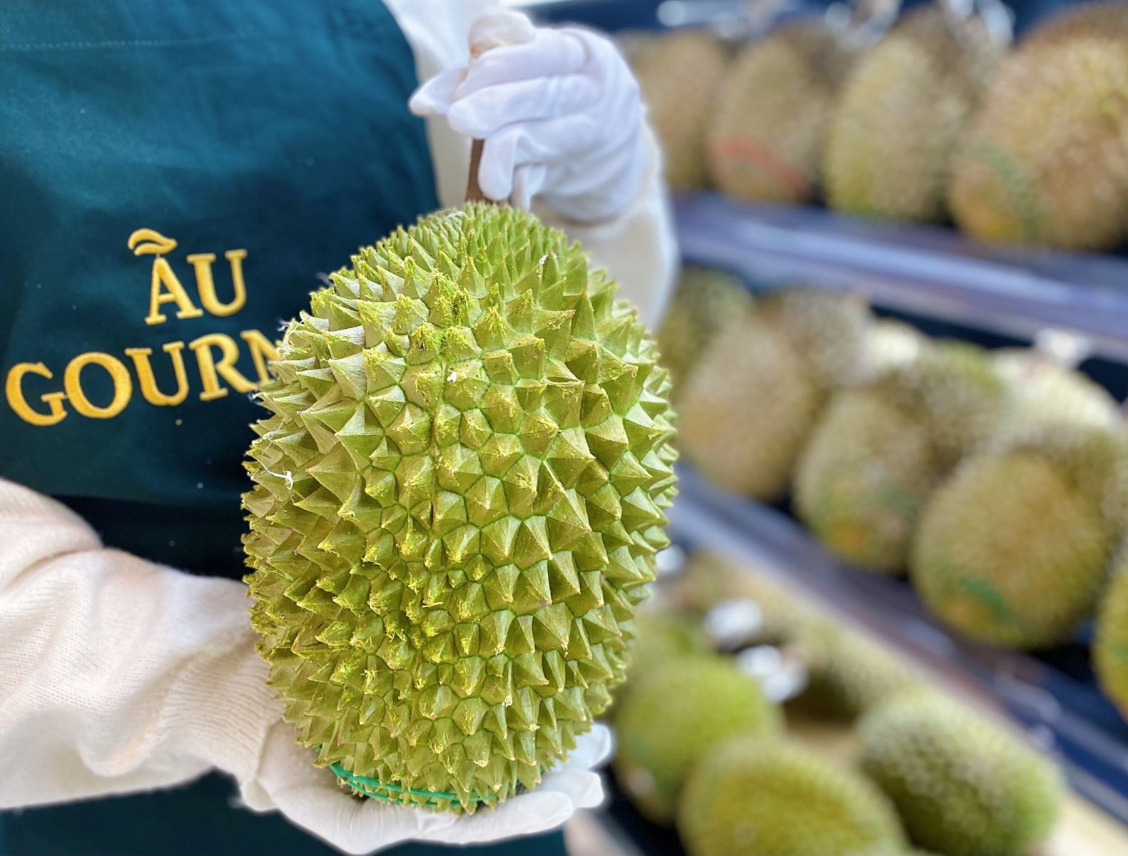 Sầu riêng Musang King nguyên trái