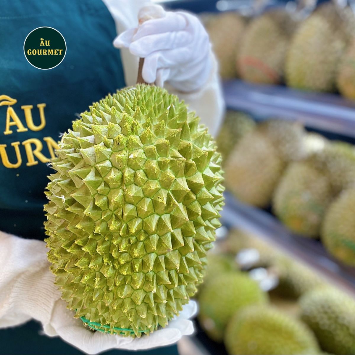 Sầu riêng Musang King tươi nguyên trái